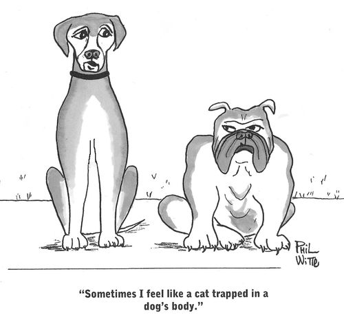 "Sometimes I feel like a cat trapped in a dog's body."