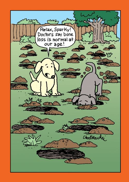 "Relax, Sparky! Doctors say bone loss is normal at our age!"
