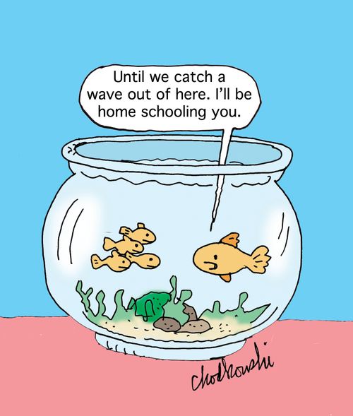 "Until we catch a wave out of here. I'll be home schooling you."