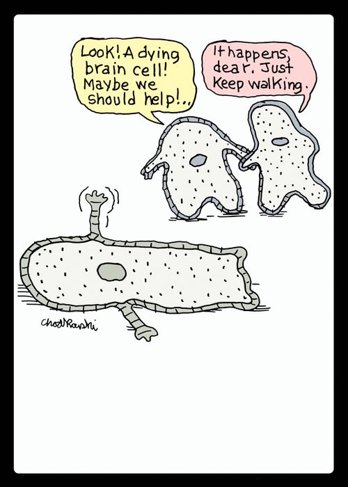 "Look! A dying brain cell! Maybe we should help!...."