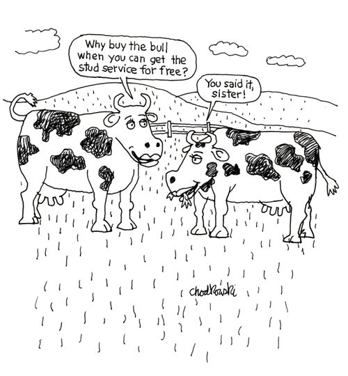 "Why buy the bull when you can get the stud service for free?"