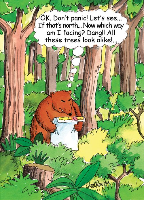 "Ok. Don't panic! Let's see..if that's north...Now which way am I facing? Dang!! All these trees look alike!..."