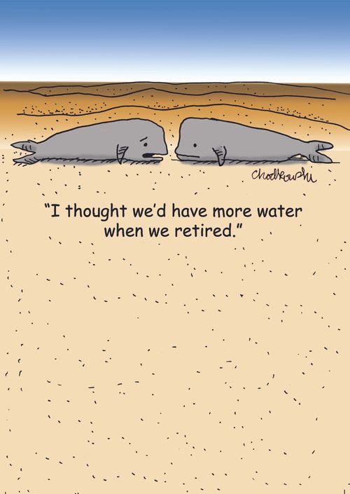 "I thought we'd have more water when we retired."