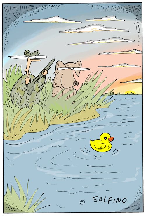 Duck Decoy