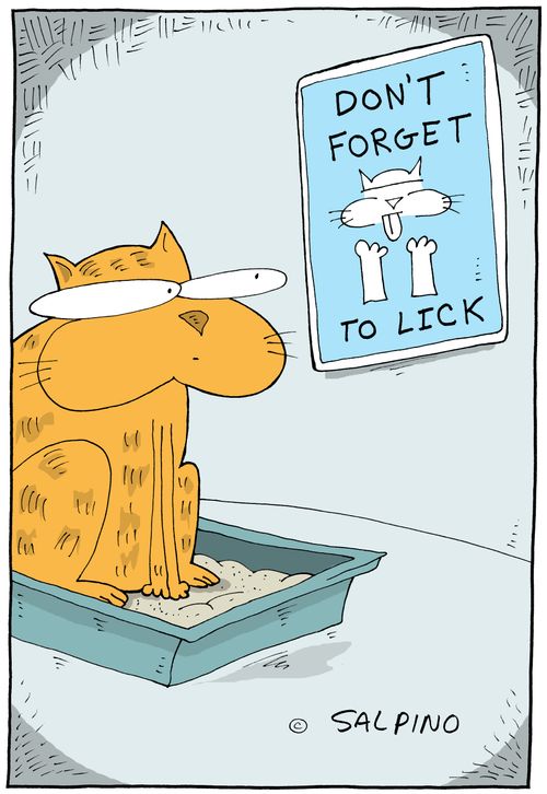 Don't Forget To Lick