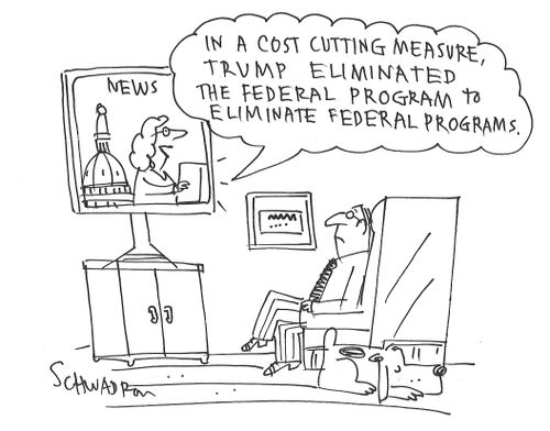 "In a cost-cutting measure, Trump eliminated the federal program to eliminate federal programs."