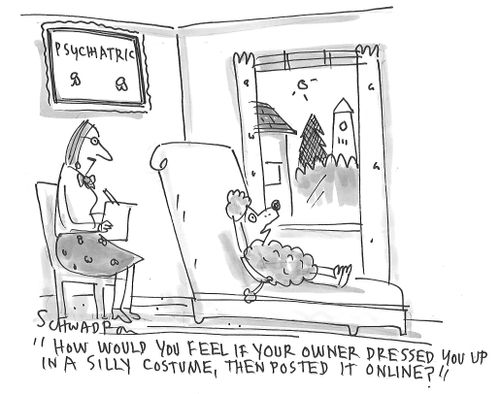 "How would you feel if your owner dressed you up in a silly costume, then posted it online?"