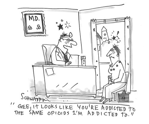 "Gee, it looks like you're addicted to the same opioids I'm addicted to."