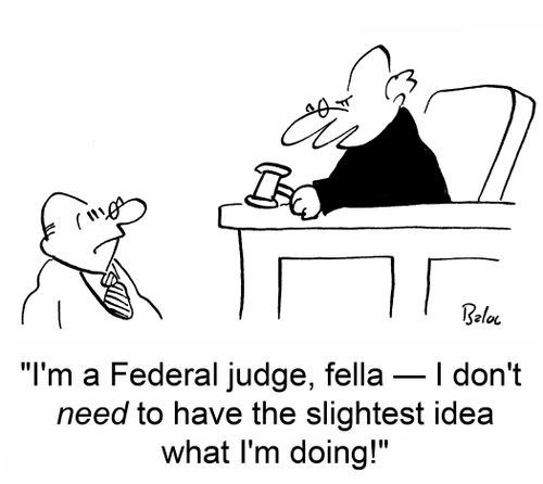 'I'm a Federal judge, fella -- I don't need to have the slightest idea what I'm doing!'