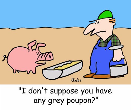 'I don't suppose you have any grey poupon?'