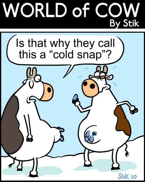 'Is that why they call this a 'cold snap'?'