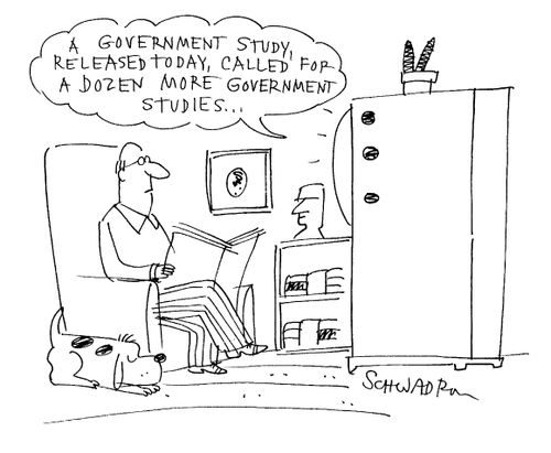 "A government study, released today, called 'for a dozen more government studies...'"