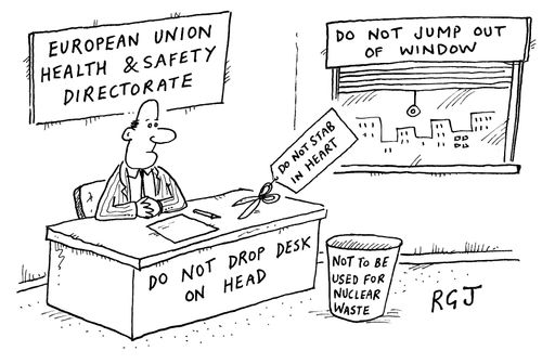 European Union Health and Safety Direcorate rules
