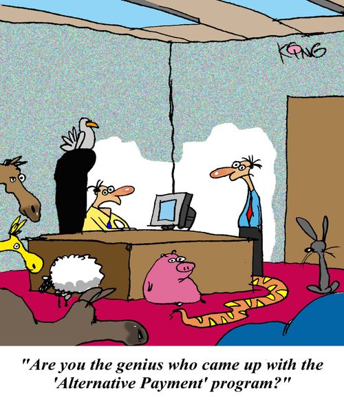 'Are you the genius who came up with the 'Alternative Payment' program?'