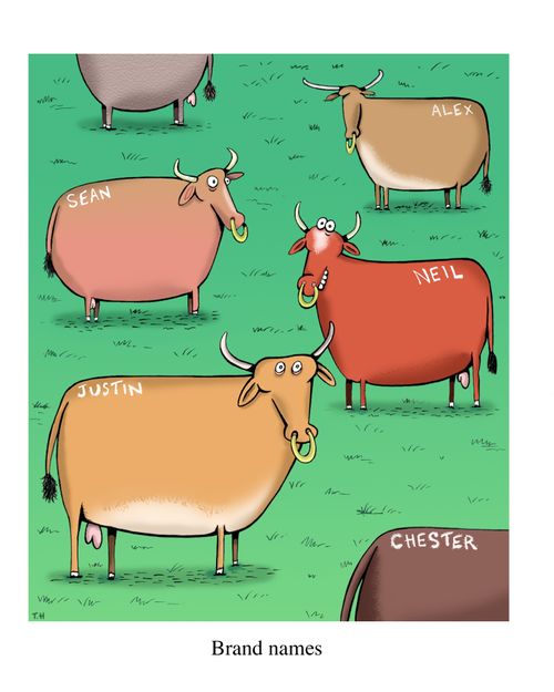 Brand names.