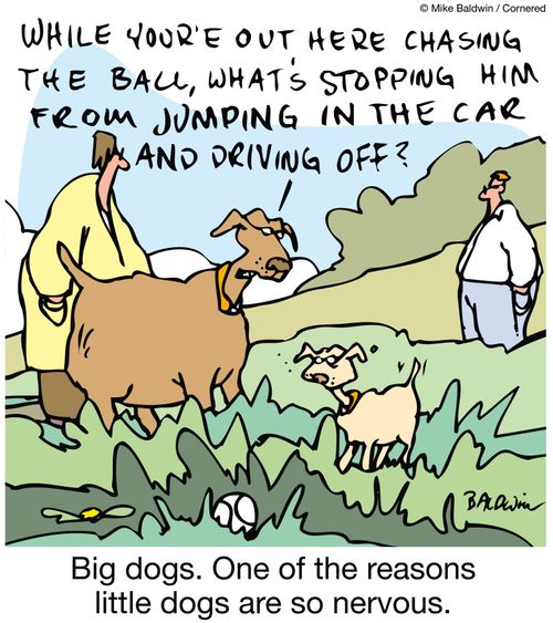 Big dogs. One of the reasons little dogs are so nervous.