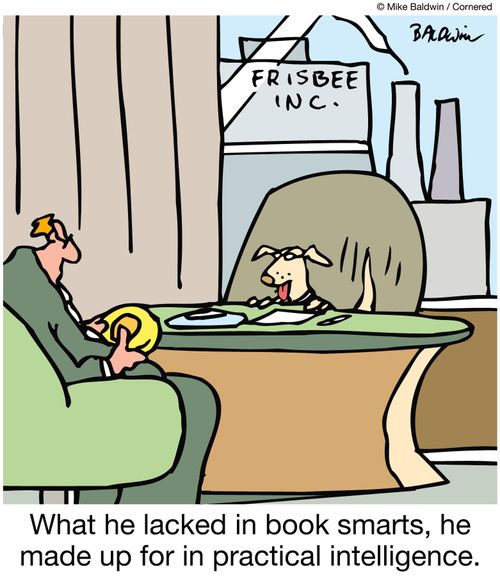 What he lacked in book smarts, he made up for in practical intelligence.