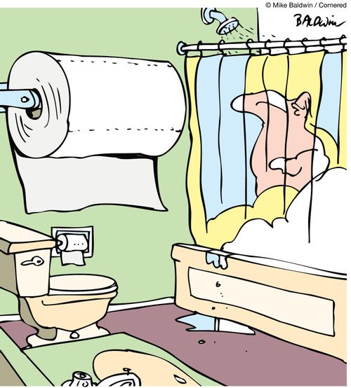 Paper Bath Towels.