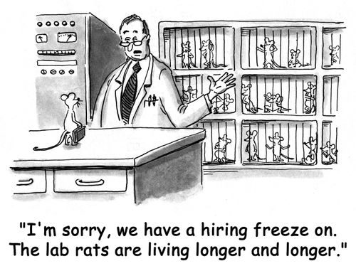 'I'm sorry, we have a hiring freeze on. The lab rats are living longer and longer.'