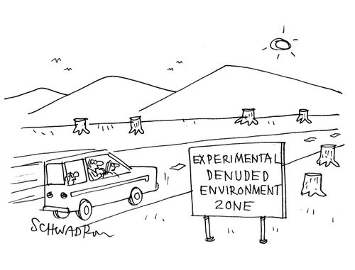 'Experimental Denuded Environment zone.'
