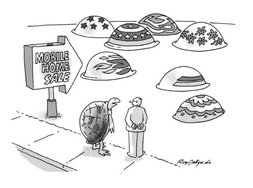 Tortoise Mobile Home Sale.