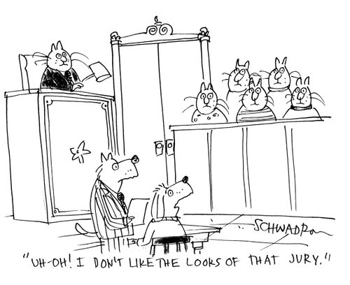 'Uh oh!  I don't like the looks of that jury.'