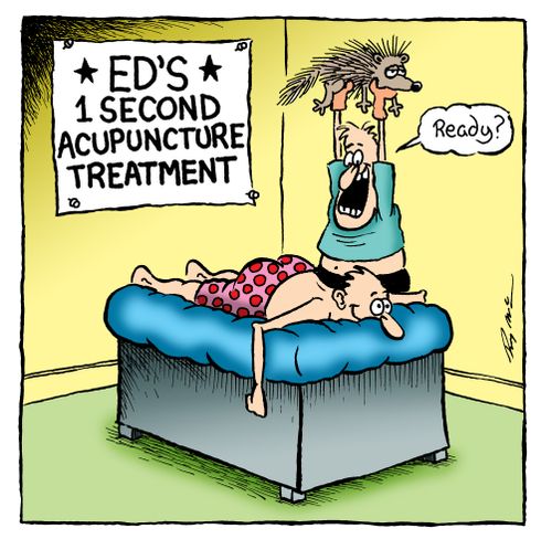Ed's 1 Second Acupuncture Treatment - acupuncturist holding porcupine.
