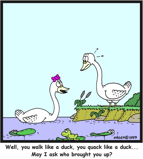 'Well, you walk like a duck, you quack like a duck... May I ask who brought you up?'