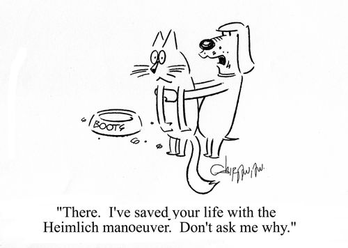 'There I've saved your life with the Heimlich manoeuvre. Don't ask me why.'
