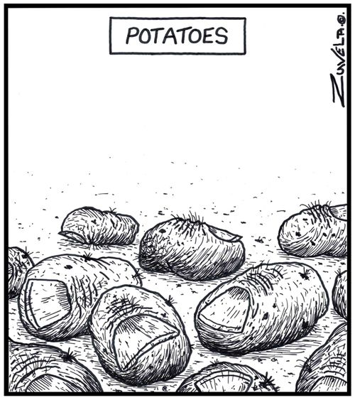 Potatoes.