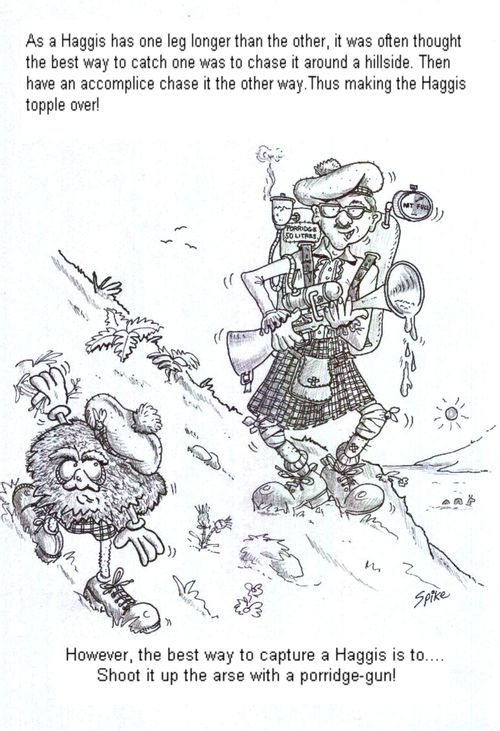 As a Haggis has one leg longer than the other, it was often thought the best way to catch one was to chase it around a hillside. Then have an accomplice chase it the other way. Thus making the Haggis topple over! 