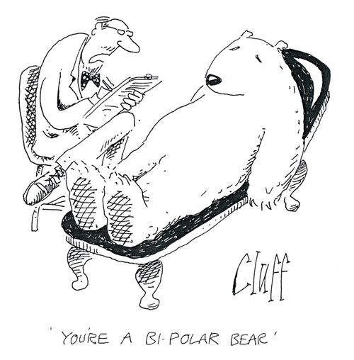 'You're a bi-polar bear.'