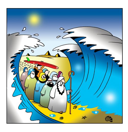 Surf's up!