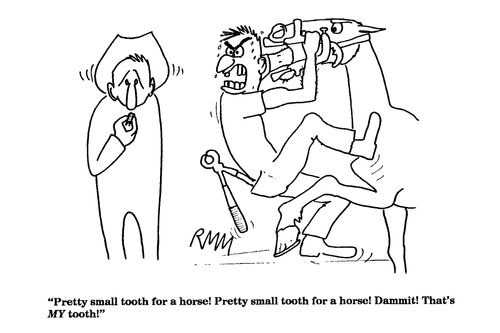 'Pretty small tooth for a horse!'