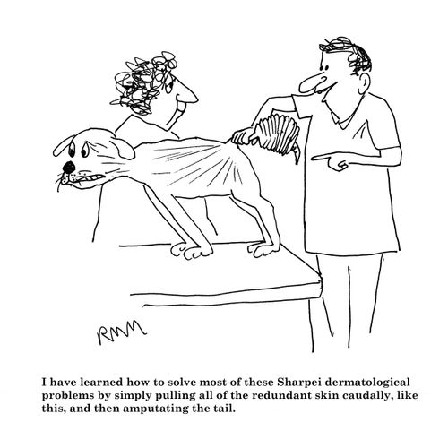 I have learned how to solve most of these Sharpei dermatological problems...