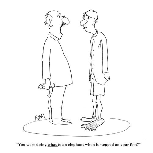 'You were doing what to an elephant when it stepped on your foot?'