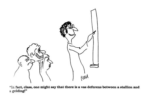 'In fact, class, one might say that there is a vas deferns...'
