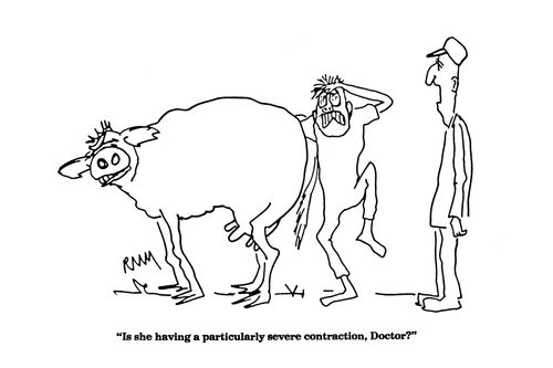 'Is she having a particularly severe contraction, Doctor?'