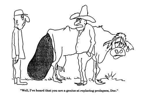 'Well, I've heard that you are a genius at replacing prolapses, Doc.'