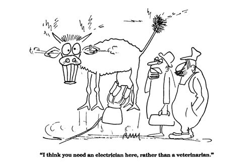 'I think you need an electrician here, rather than a veterinarian.'