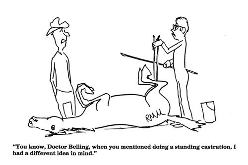 'You know, Doctor Belling, when you mentioned doing a standing castration,...
