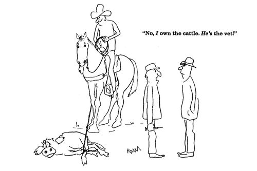 'No, I own the cattle.  He's the vet!'