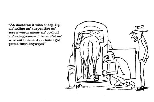 'Ah doctored it with sheep dip an' iodine an' turpentine...'