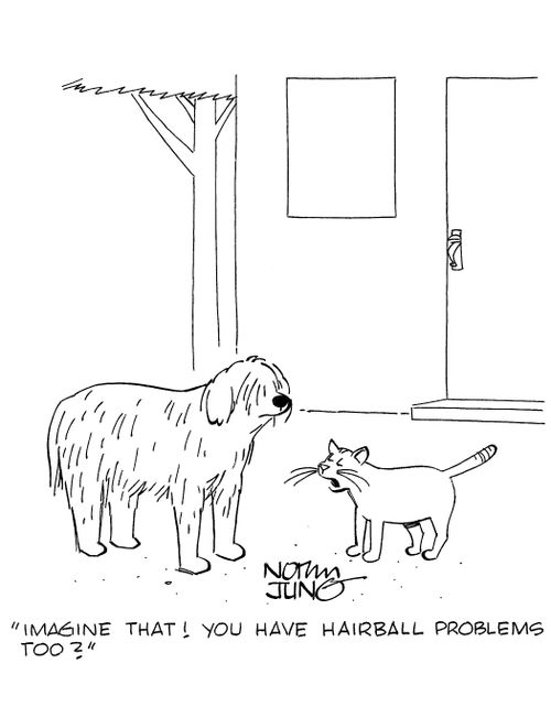 'Imagine that! You have hairball problems too?'