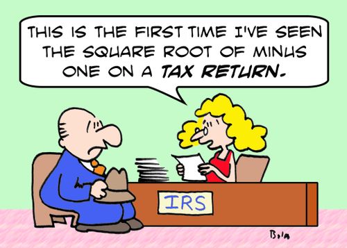 IRS, 'This is the first time I've seen the square root of minus one on a tax return.'