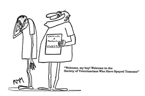 Welcome to the Society of Veterinarians Who Have Spayed Tomcats!'