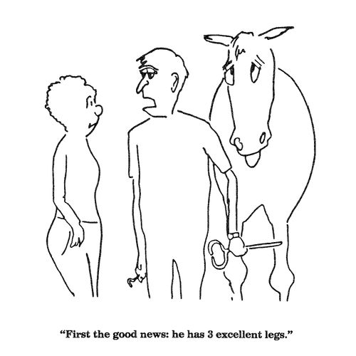 'First the good news:  he has 3 excellent legs.'