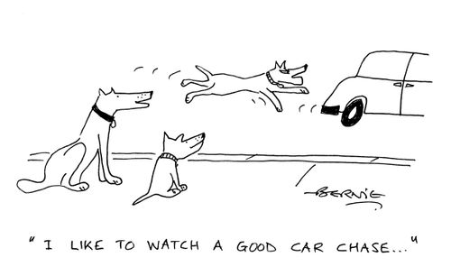 'I like to watch a good car chase...'