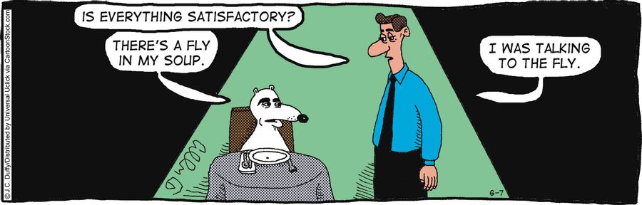 'There's a fly in my soup.'