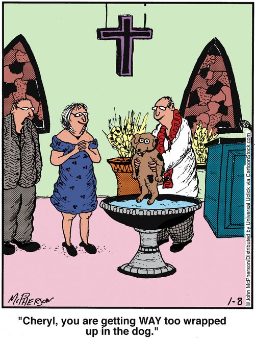 'Cheryl, you are getting way too wrapped up in the dog.'